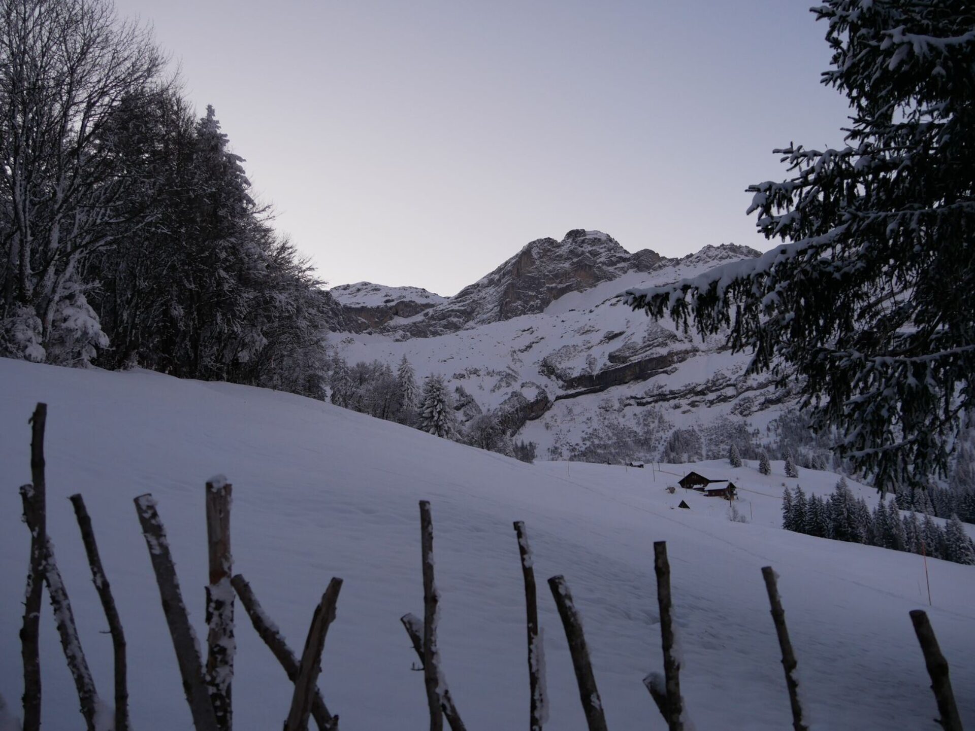 Eine winterliche Berglandschaft liegt in sanftem Abend- oder Morgenlicht. Vorne steht ein einfacher Holzzaun im Schnee, dahinter erstreckt sich eine weite, unberührte Schneefläche. Auf der rechten Seite ragt eine schneebedeckte Tanne ins Bild, links steht ein dichter Wald mit schwer verschneiten Ästen. In der Ferne sind markante Felsformationen und Gipfel zu sehen und etwas weiter unten ein einzelnes Berghaus, das ruhig in der verschneiten Umgebung liegt.
