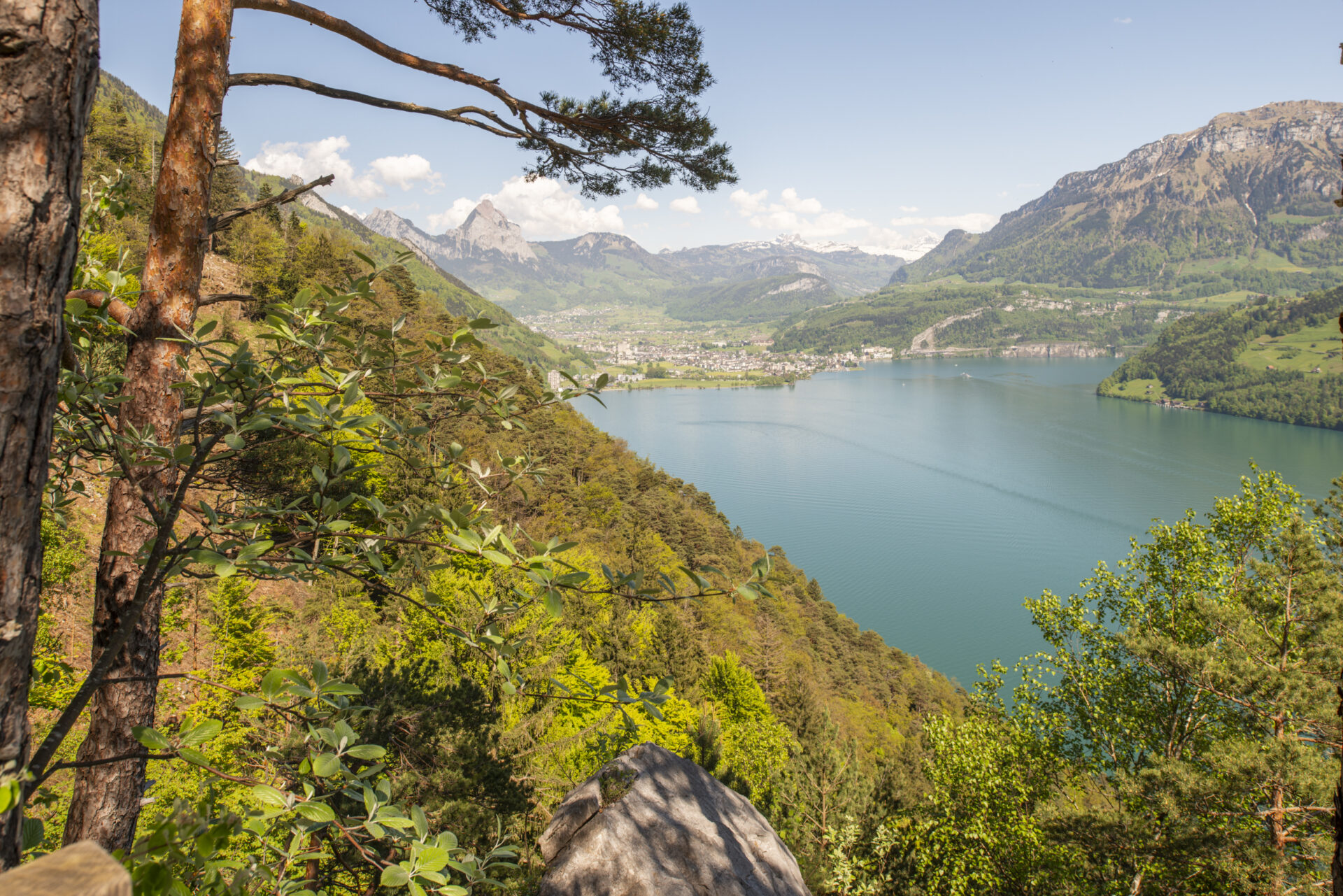 Unterwegs auf dem Waldstätterweg zwischen Brunnen und Gersau. Der Blick geht es dem Wald Richtung dem blau-grünen Urnersee. Die steilen Hänge sind bewaldet. Im Hintergrund ist Brunnen und der grosse Mythen sichtbar. Es ist Herbst und die Sonne scheint.