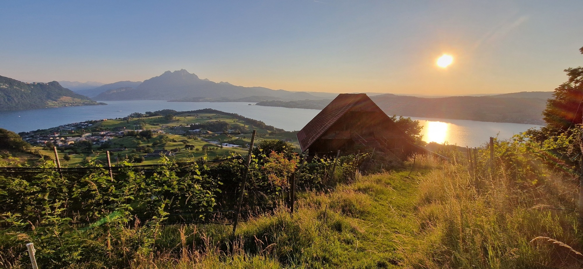 Blick auf die Landschaft vom Weingut Rigiwii im Hintergrund der Vierwaldstättersee und der Pilatus.