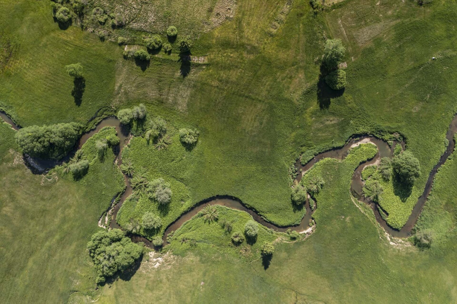 Blick von oben über das Hochmoor in Rothenthurm. Der Fluss schlängelt sich durch die grüne Landschaft.