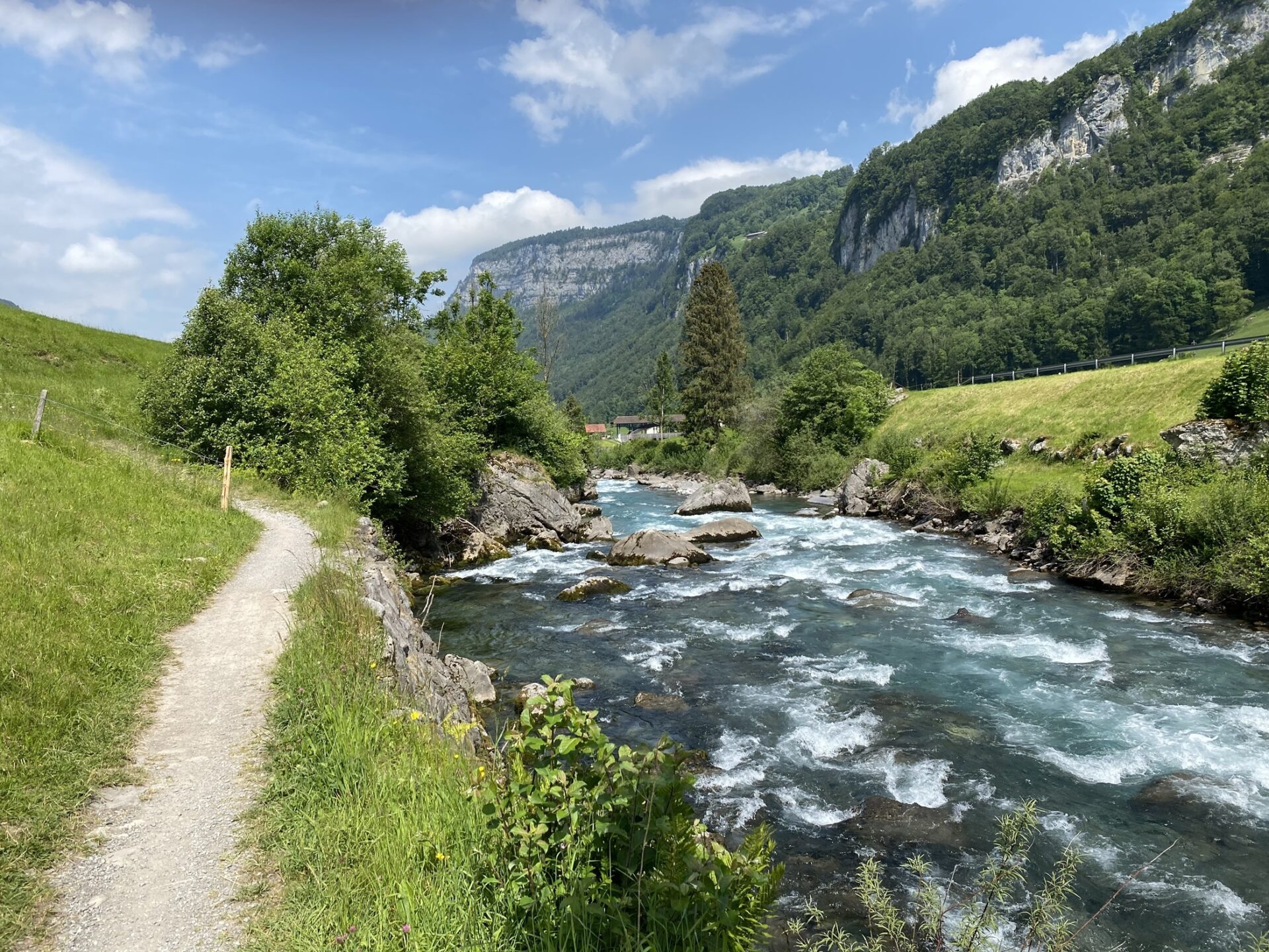 Kiesweg entlang einem Bach. eingebettet in herrlich grüne Landschaft.