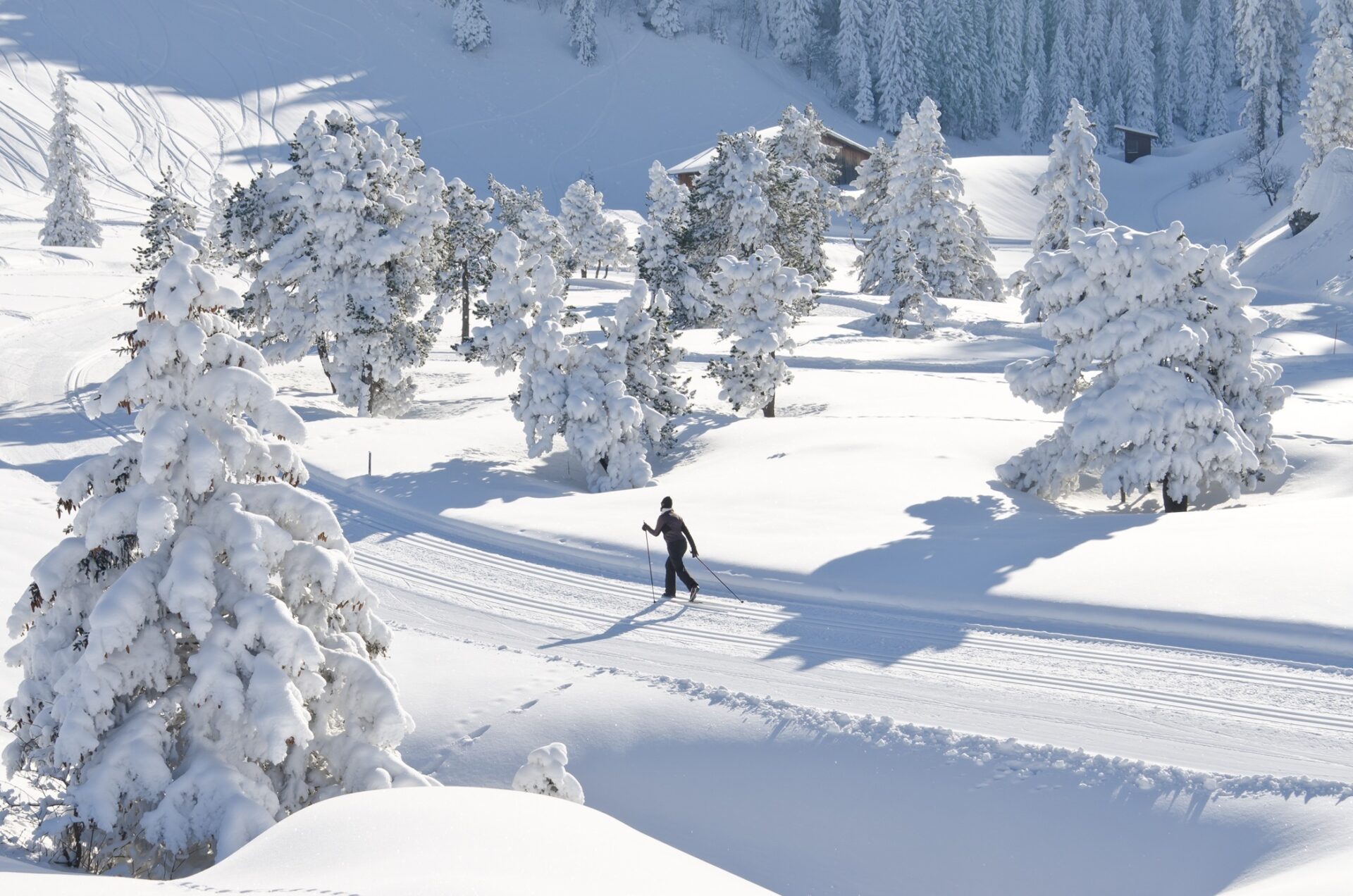 Person auf Langlaufloipe unterwegs durch verschneite Winterlandschaft.