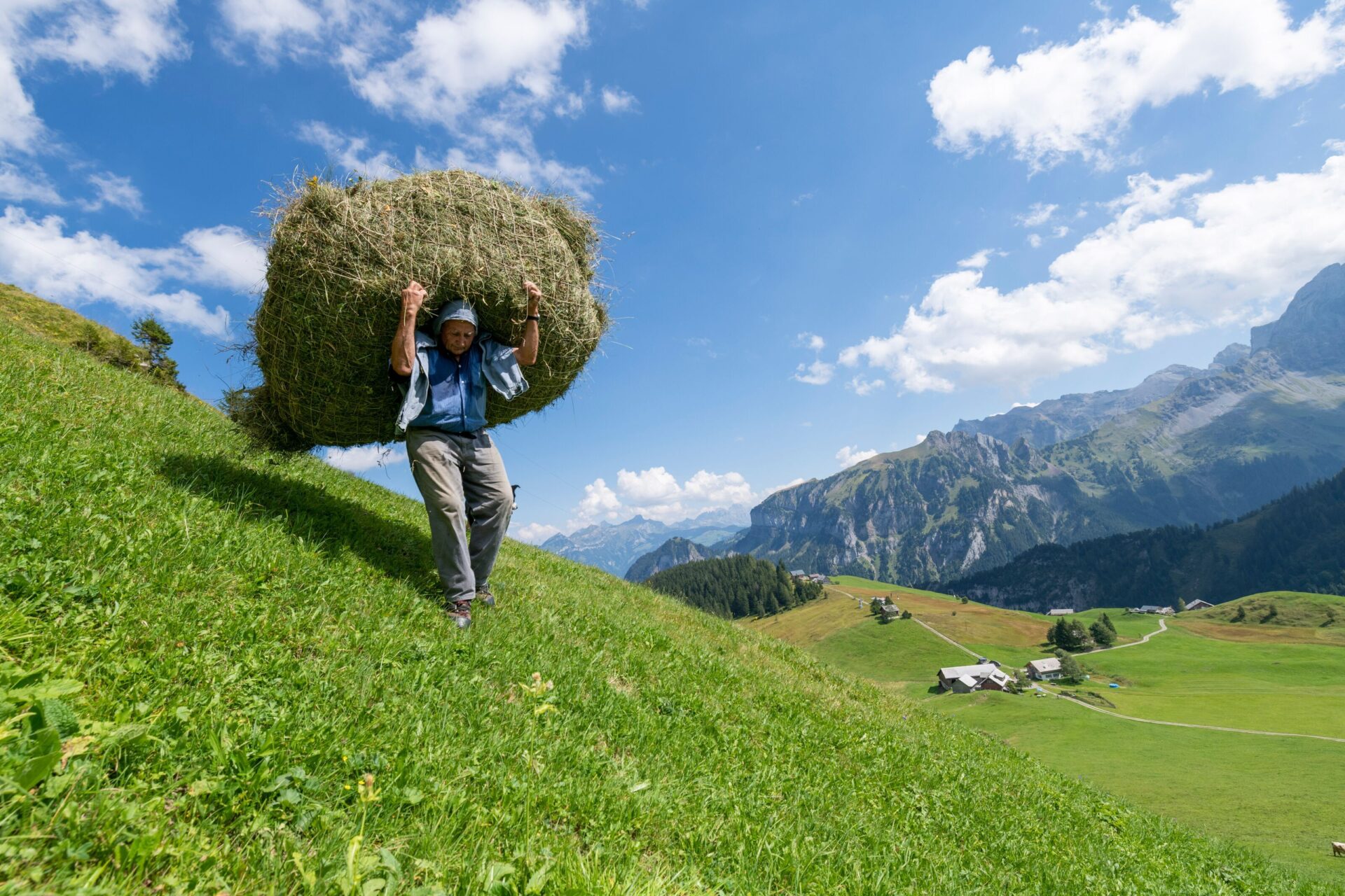 Ein Bauer trägt eine große Ladung Heu auf dem Rücken einen grünen Hügel hinauf, während im Hintergrund eine weitläufige Berglandschaft und ein strahlend blauer Himmel zu sehen sind. Das Bild zeigt die harte Arbeit und die Tradition der Heuernte in einer idyllischen Alpenlandschaft.