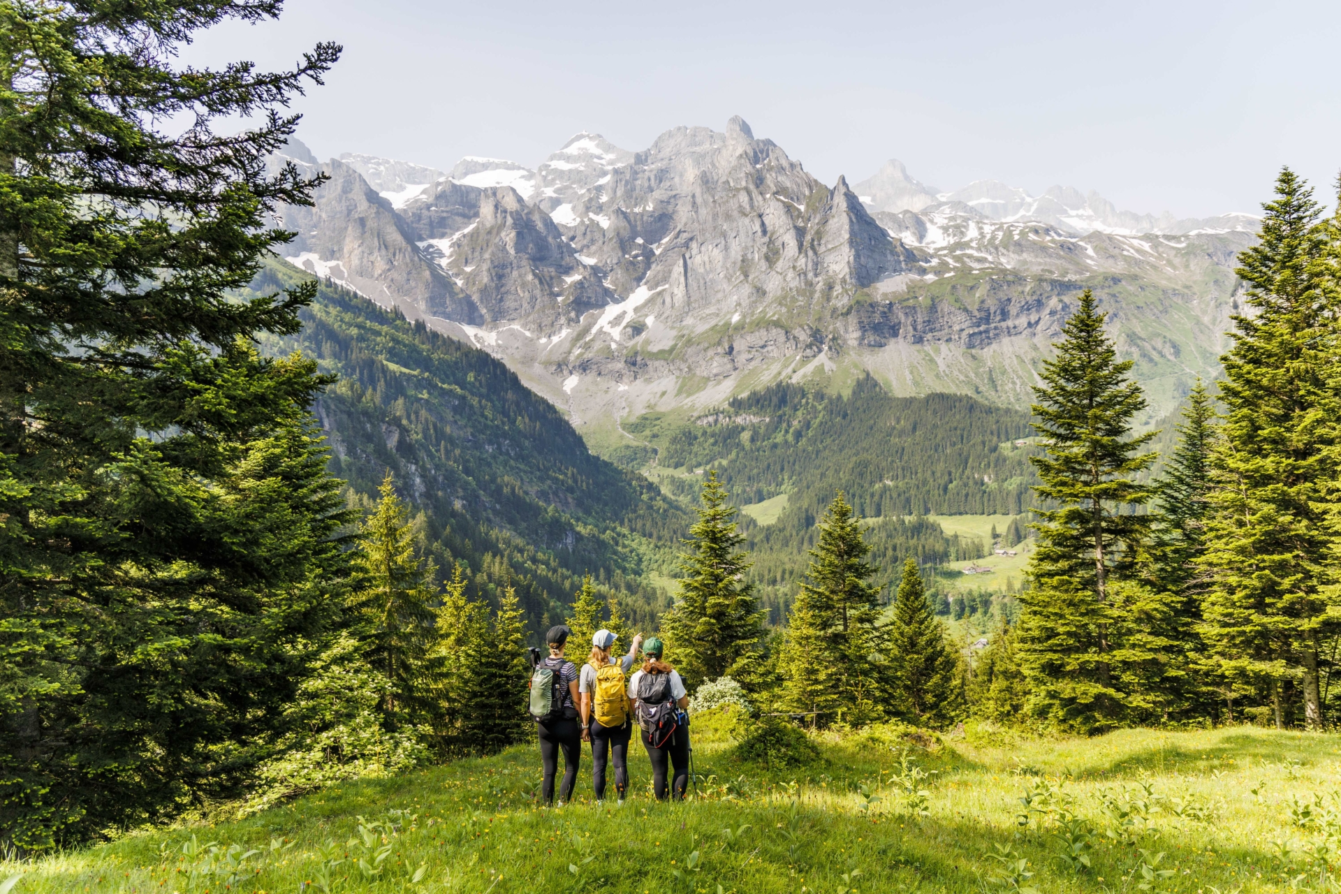 Eine kleine Wandergruppe steht auf einer grünen Lichtung bei Isenthal, umgeben von Nadelbäumen und mit freiem Blick auf ein weites Tal und markante, teils schneebedeckte Berggipfel. Die Szene wirkt ruhig und gemeinschaftlich und vermittelt Nähe zur Natur sowie alpine Weite.