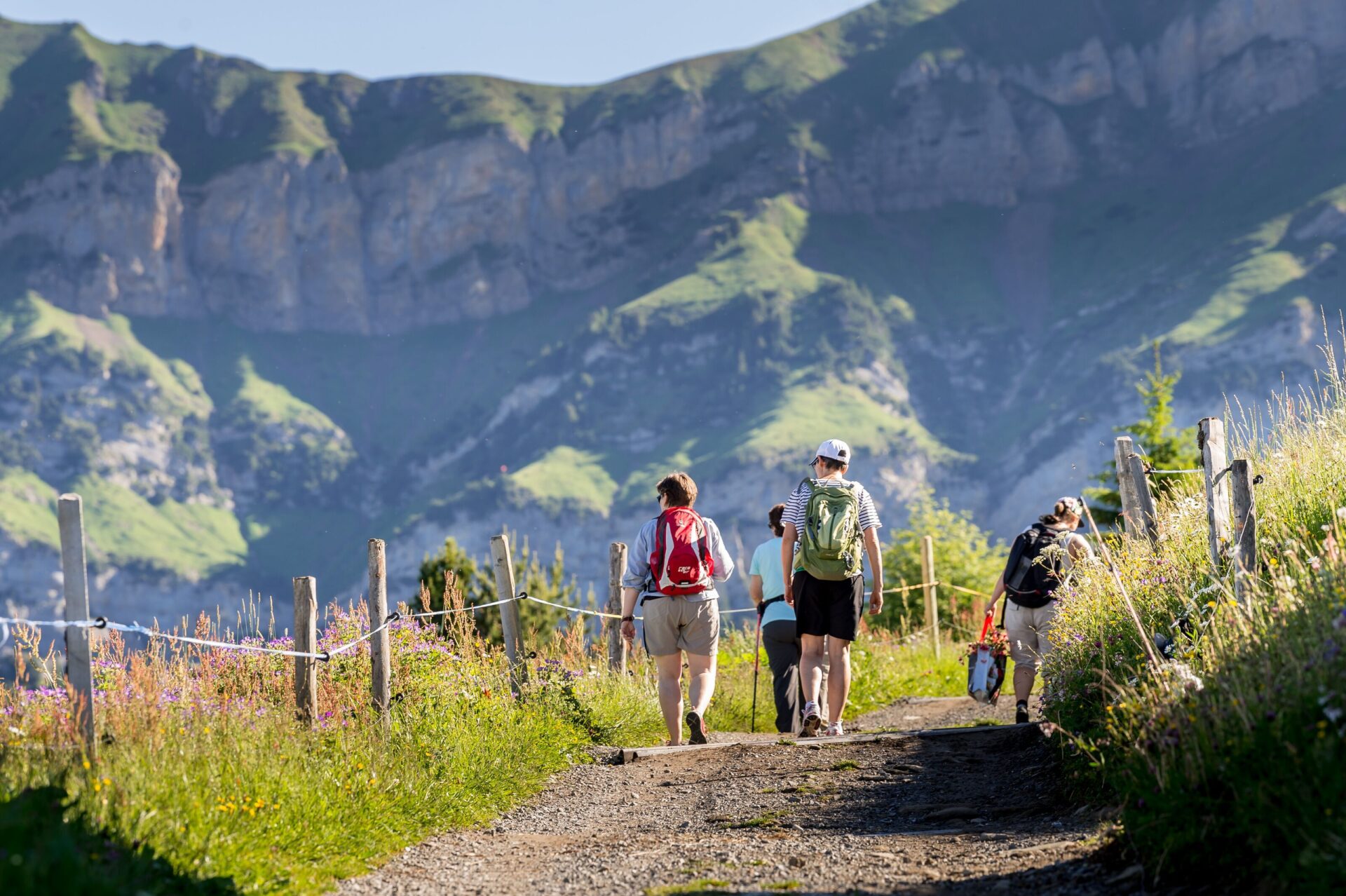 Eine Gruppe Wanderer geht einen sonnenbeschienenen Weg entlang, der von Wiesen und Zäunen gesäumt ist, während im Hintergrund beeindruckende Felsformationen aufragen. Die entspannte Atmosphäre vermittelt Freude an der Natur und Gemeinschaft.