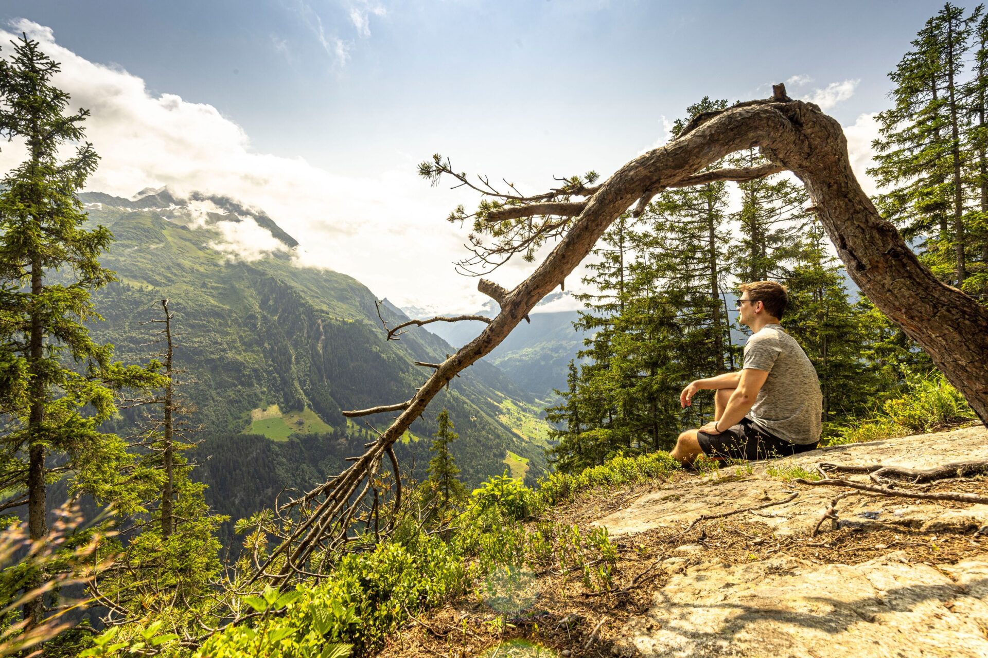 Ein Wanderer sitzt auf einem Felsen unter einem gebogenen Baum und genießt den weiten Blick über ein grünes Tal und die umliegenden Berge. Die friedliche Atmosphäre und das warme Sonnenlicht schaffen einen Moment der Ruhe und Naturverbundenheit.