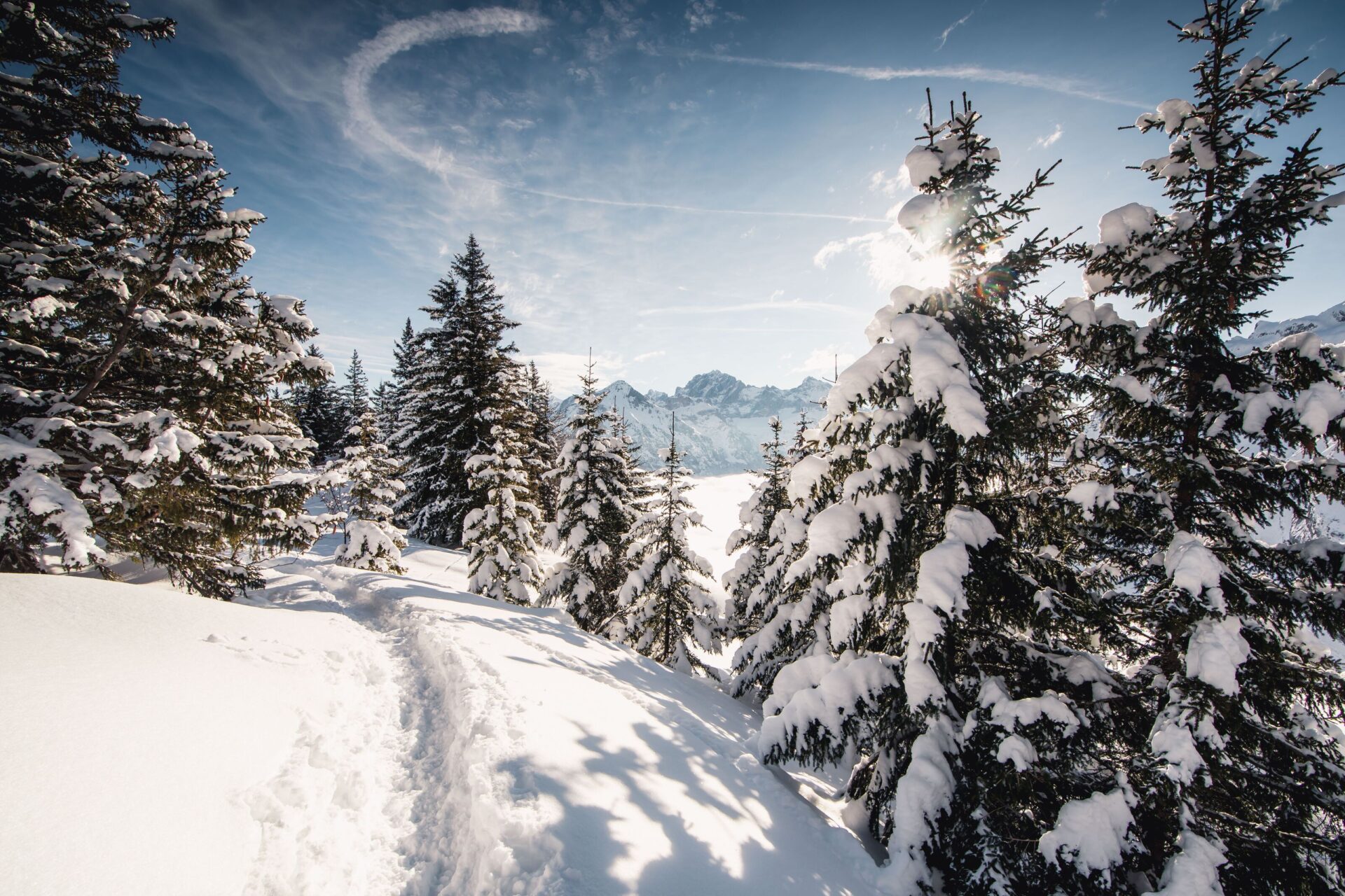 Ein schmaler Pfad führt durch einen verschneiten Wald, während die Sonne durch die beschneiten Tannen scheint und die Berglandschaft im Hintergrund sanft erhellt. Die friedliche Winterstimmung und die glitzernde Schneedecke schaffen eine idyllische Atmosphäre.