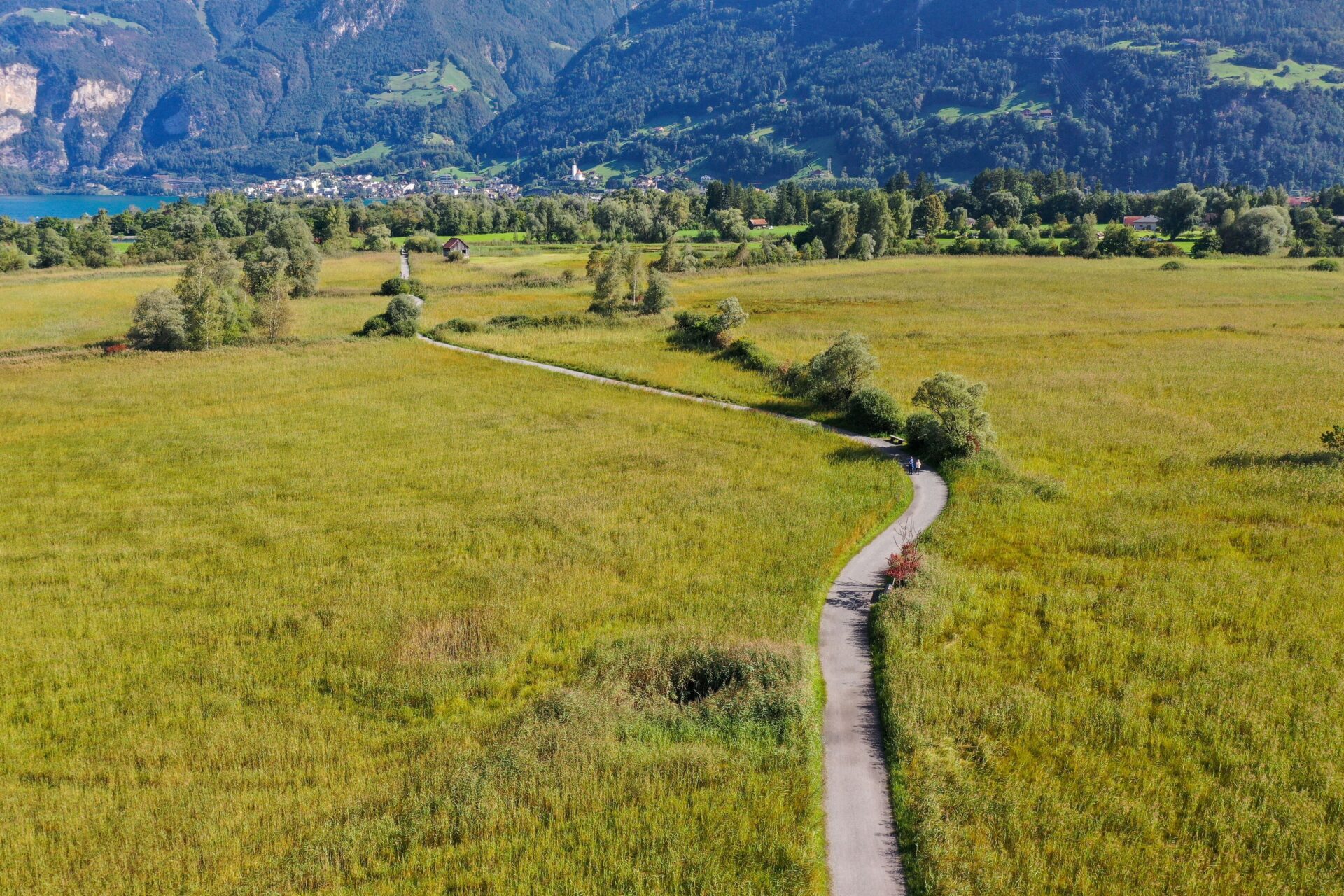 Ein schmaler Weg schlängelt sich durch eine weite, grüne Wiesenlandschaft mit vereinzelten Bäumen, während sich im Hintergrund Berge erheben. Die Szene strahlt Ruhe und die Weite der Natur aus.