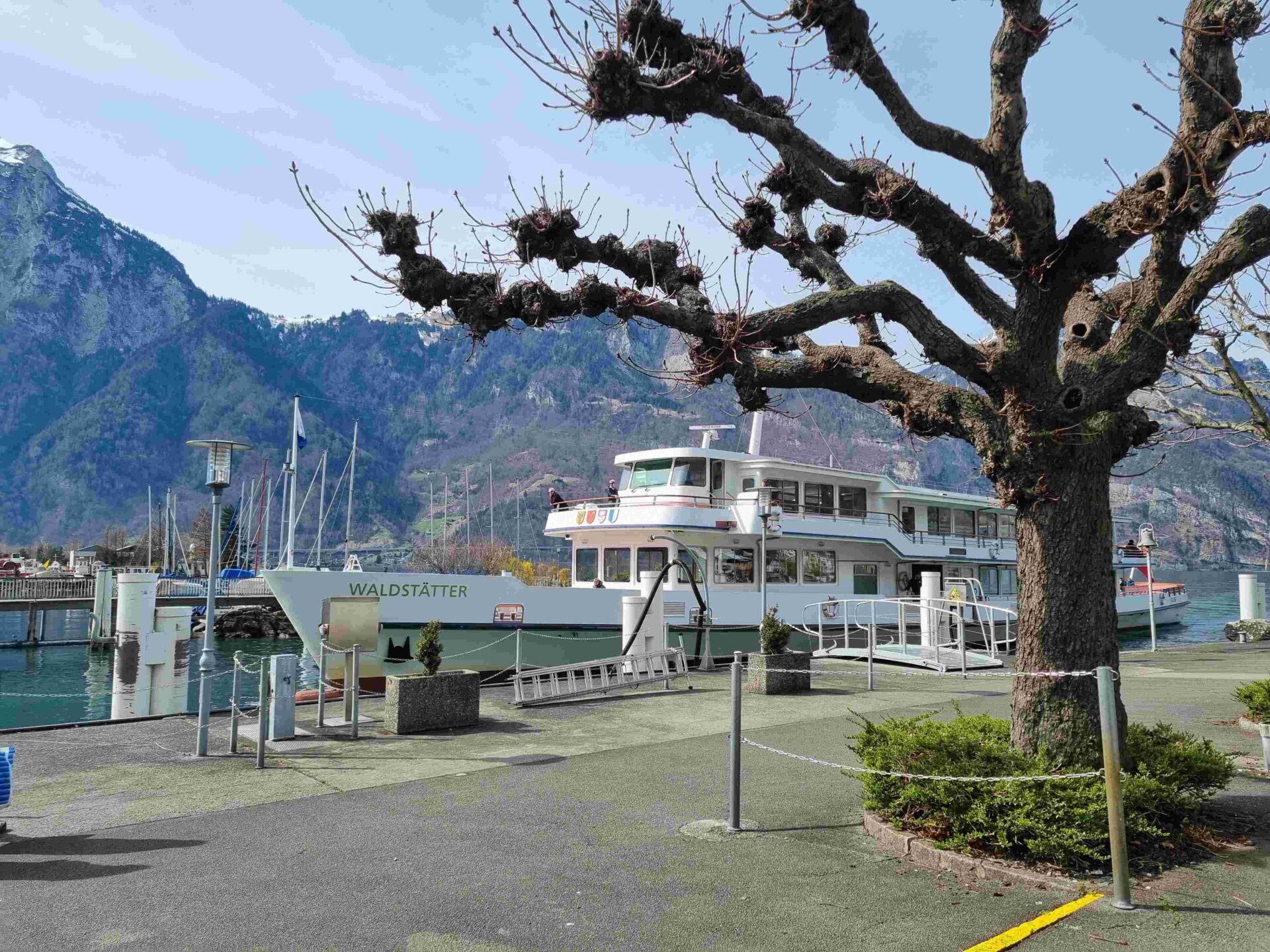 Ein Passagierschiff liegt am Hafen von Flüelen vor Anker, eingerahmt von kahlen Bäumen und umgeben von majestätischen Bergen. Die Szene vermittelt Ruhe und zeigt Flüelen als Ausgangspunkt für Schifffahrten auf dem See.