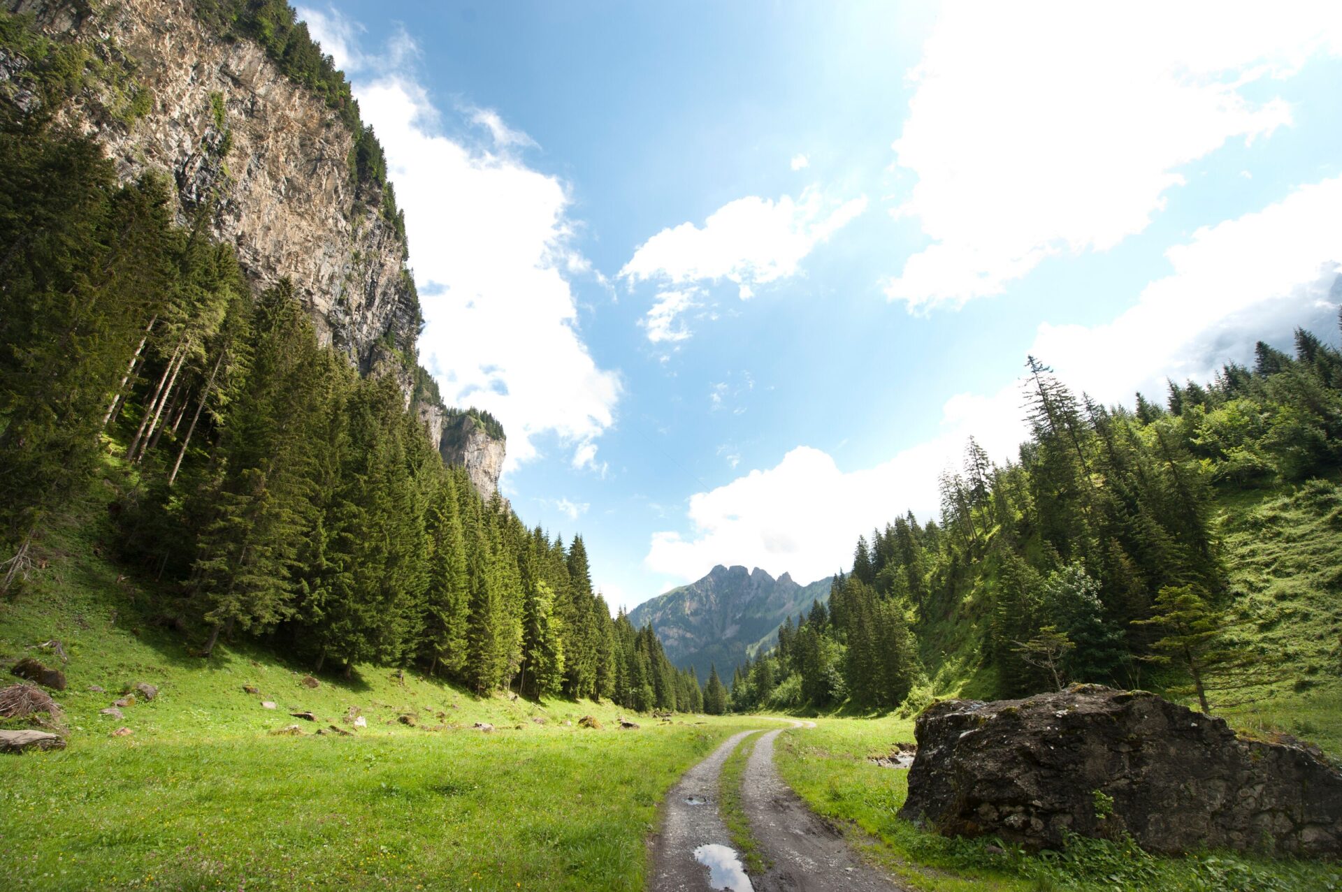 Ein schmaler Weg führt durch das grüne Tal von Isenthal, umgeben von dichten Wäldern und steilen Felswänden, mit Bergen im Hintergrund. Die Szene strahlt Ruhe und die unberührte Schönheit der Natur aus.