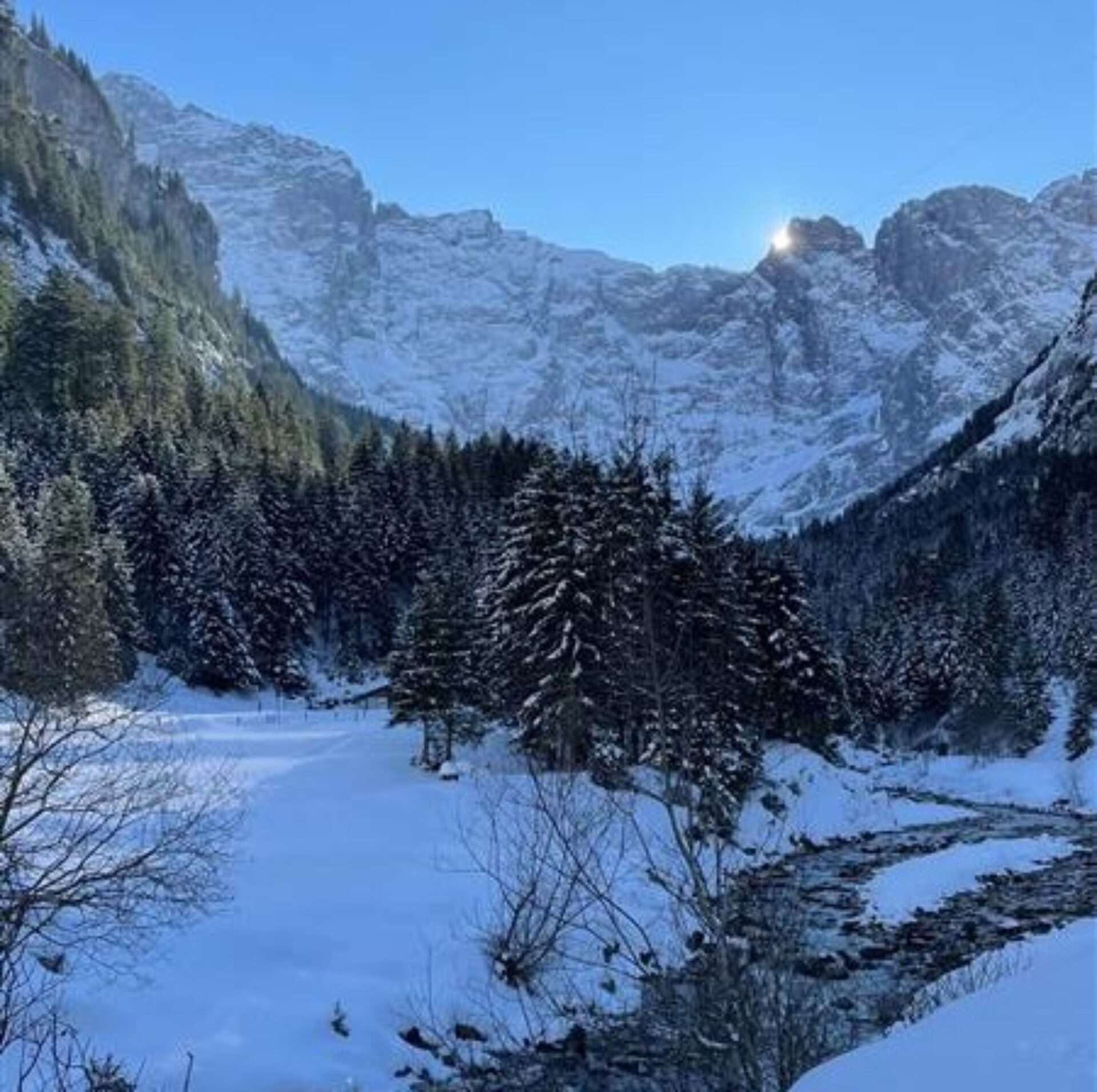 Ein klarer Gebirgsbach schlängelt sich durch eine verschneite Winterlandschaft, umgeben von dichten Nadelwäldern und majestätischen, schneebedeckten Felswänden. Die Sonne blitzt über einem Gipfel hervor und taucht die Szene in ein sanftes, winterliches Licht.