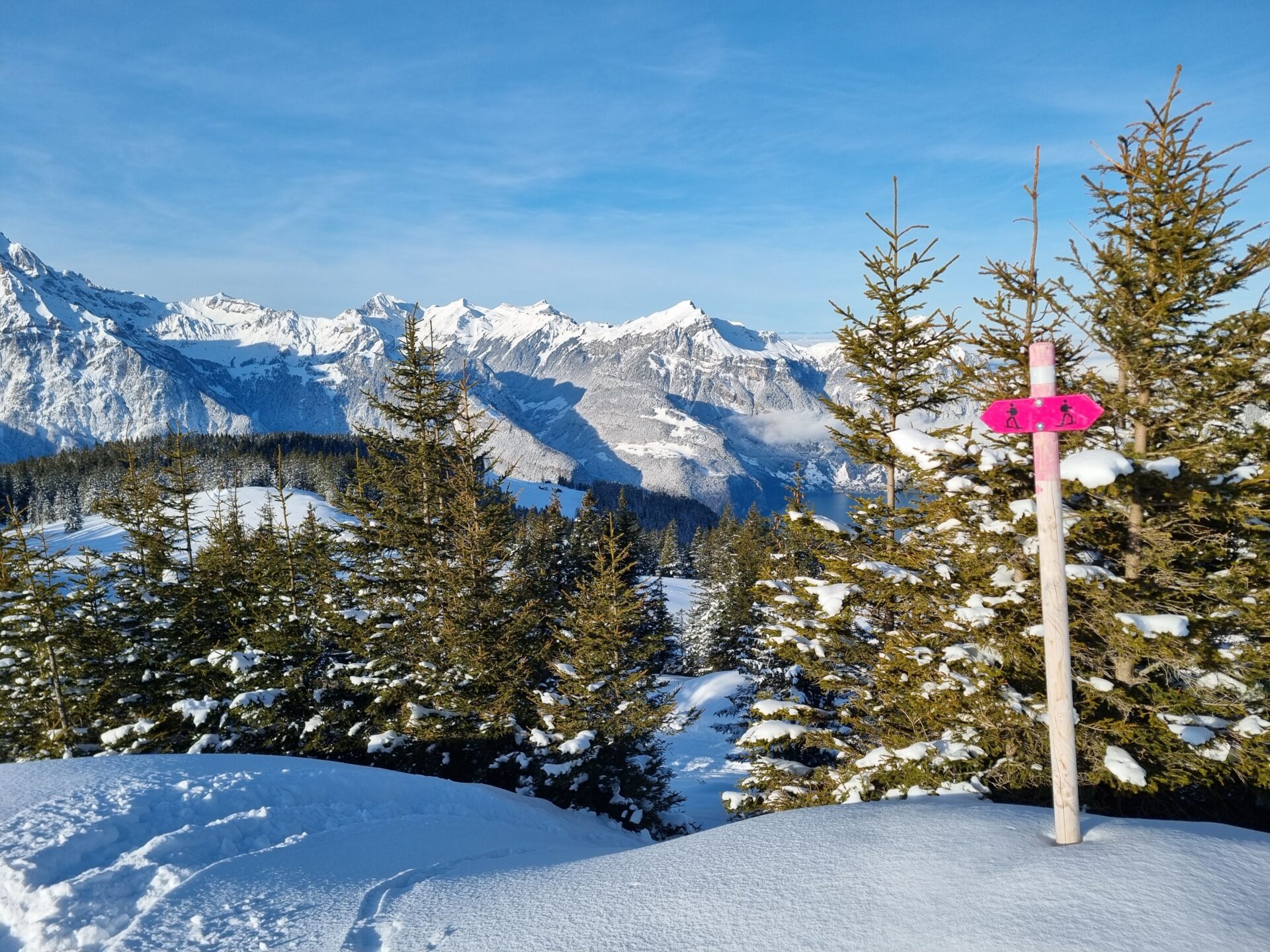 Ein Wegweiser mit pinkem Schild steht in einer verschneiten Landschaft, umgeben von Tannen, mit einem beeindruckenden Blick auf schneebedeckte Berge unter klarem blauem Himmel. Die Szene vermittelt eine ruhige Winteratmosphäre und lädt zum Erkunden der Natur ein.
