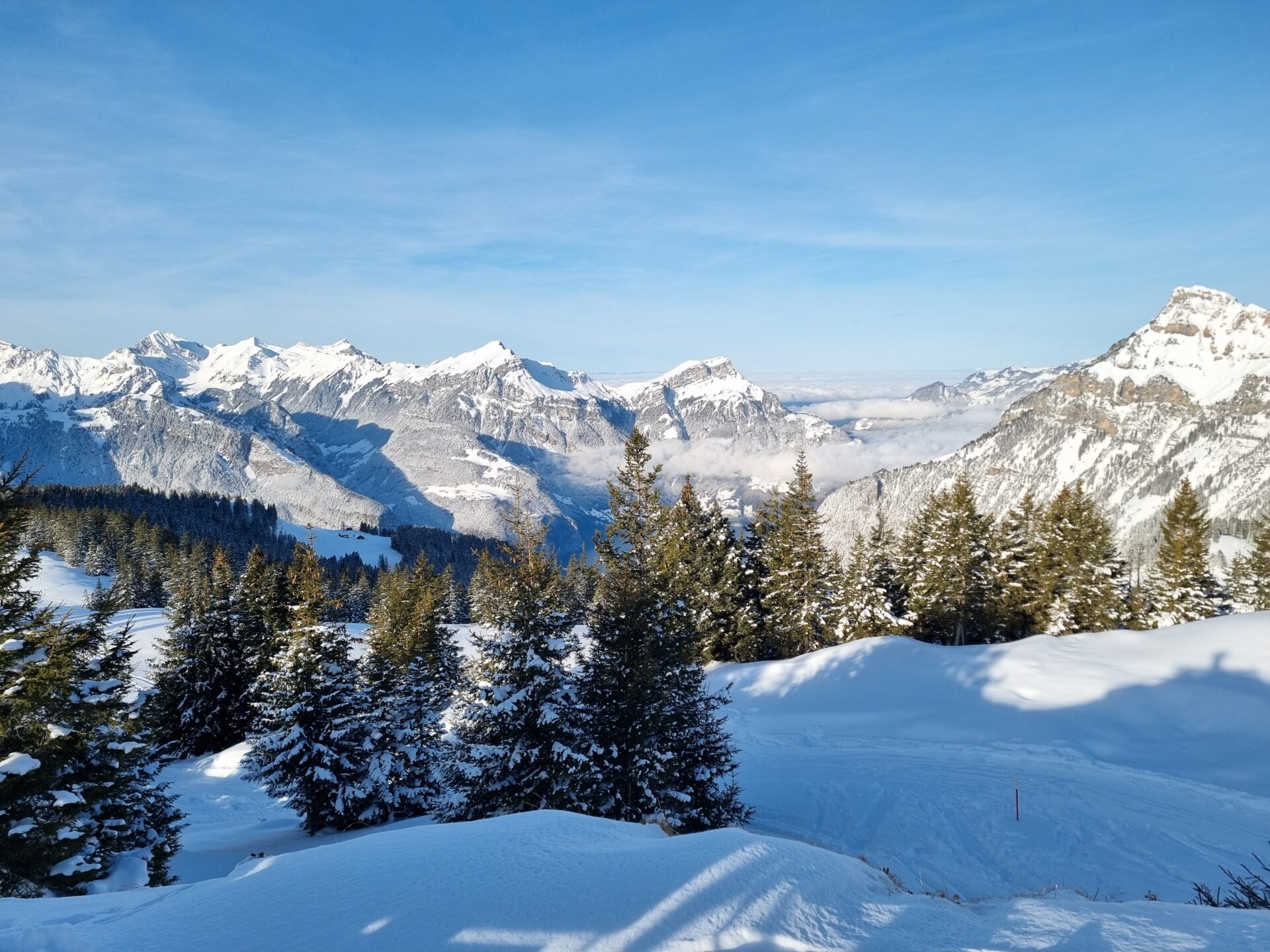 Verschneite Tannen säumen den Vordergrund einer malerischen Berglandschaft, die von majestätischen Gipfeln und tiefen Tälern geprägt ist. Der klare blaue Himmel und die sanfte Wintersonne betonen die Ruhe und Schönheit der Szene.