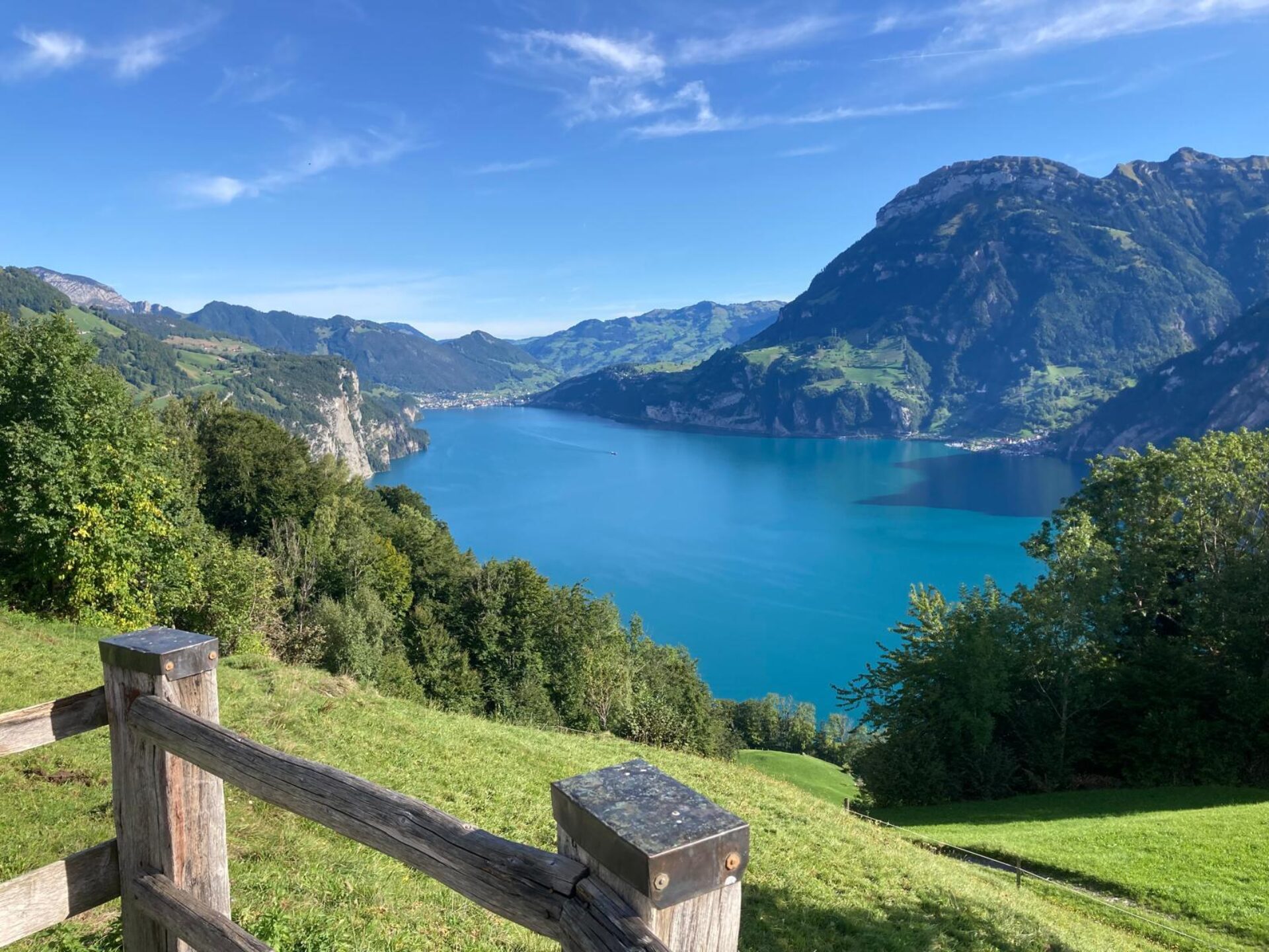 Ein strahlend blauer Alpsee erstreckt sich zwischen bewaldeten Hängen und markanten Bergen, während im Vordergrund ein einfaches Holzgeländer eine sonnige Wiese säumt. Das klare Wetter und die leuchtenden Farben erzeugen eine friedliche und erfrischende Stimmung.