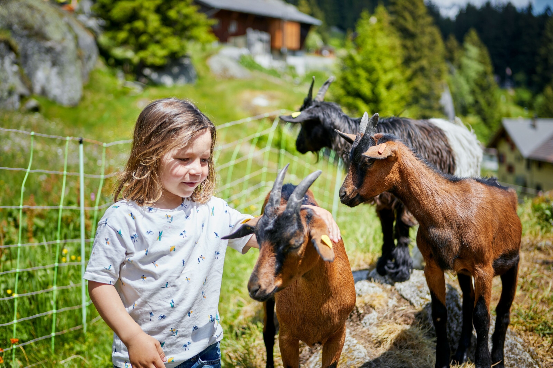 Ein Kind streichelt neugierig mehrere junge Ziegen auf einer Weide, umgeben von einer grünen, ländlichen Berglandschaft. Die Szene vermittelt Freude und Verbundenheit mit der Natur und Tieren.